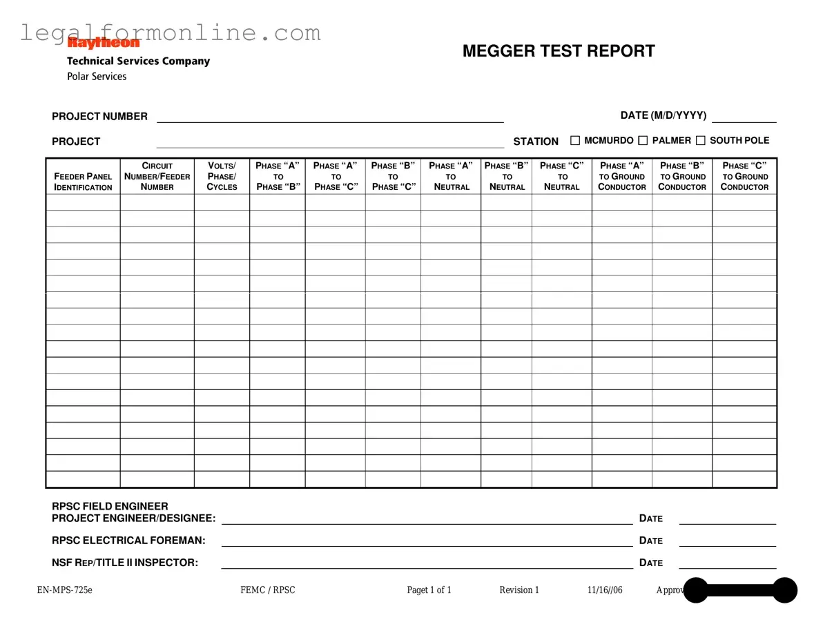 Megger Test Template in PDF