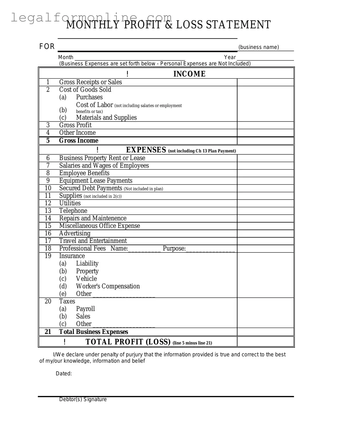 Profit And Loss Template in PDF