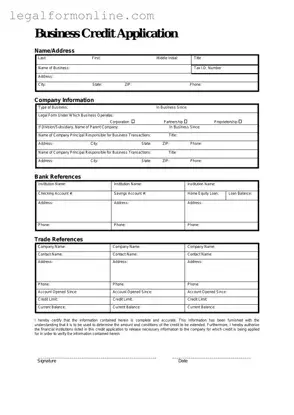 Business Credit Application Template in PDF
