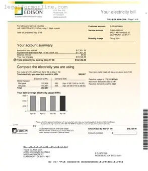 Edison Electricity Bill Template in PDF