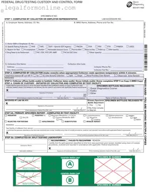 Drug Screen Template in PDF