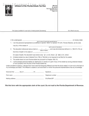 Fl Dr 312 Template in PDF