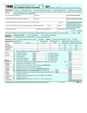 IRS 1040 Template in PDF