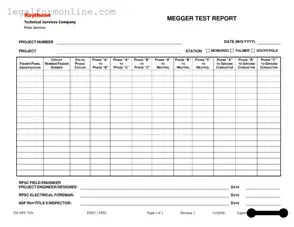 Megger Test Template in PDF