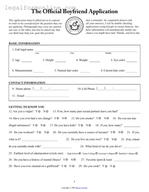 Boyfriend application form Template in PDF