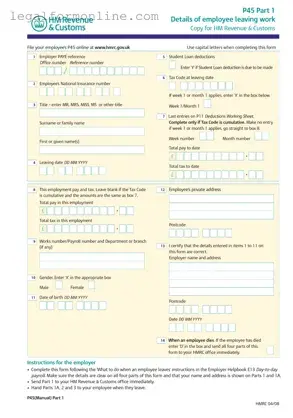 P 45 It Template in PDF