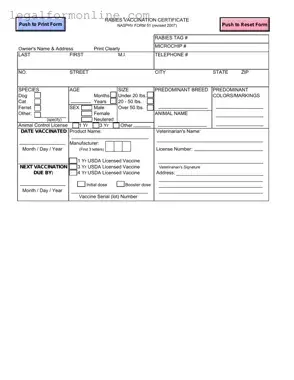 Rabies Certificate Template in PDF