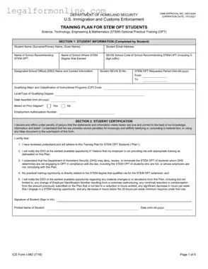 ICE I-983 Template in PDF