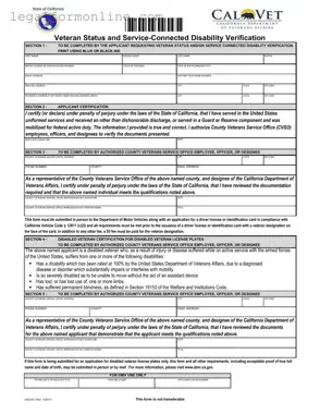 Vsd 001 Template in PDF