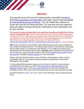 IRS W-2 Template in PDF