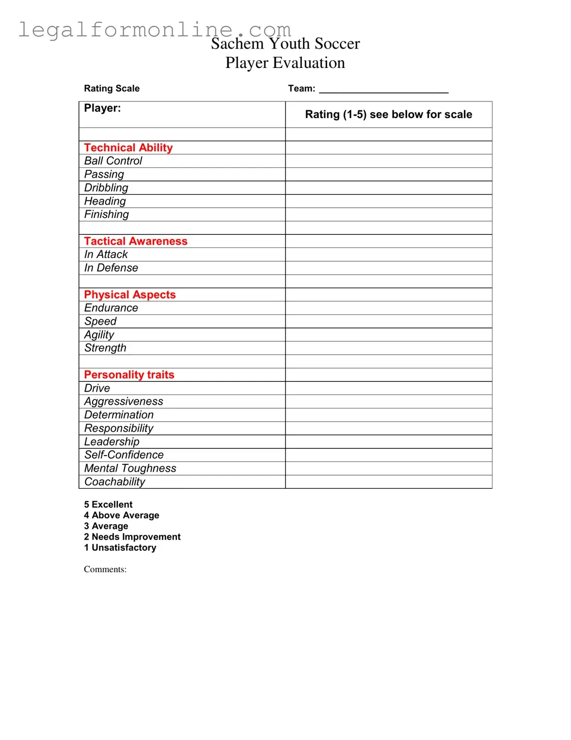Soccer Player Evaluation Template in PDF