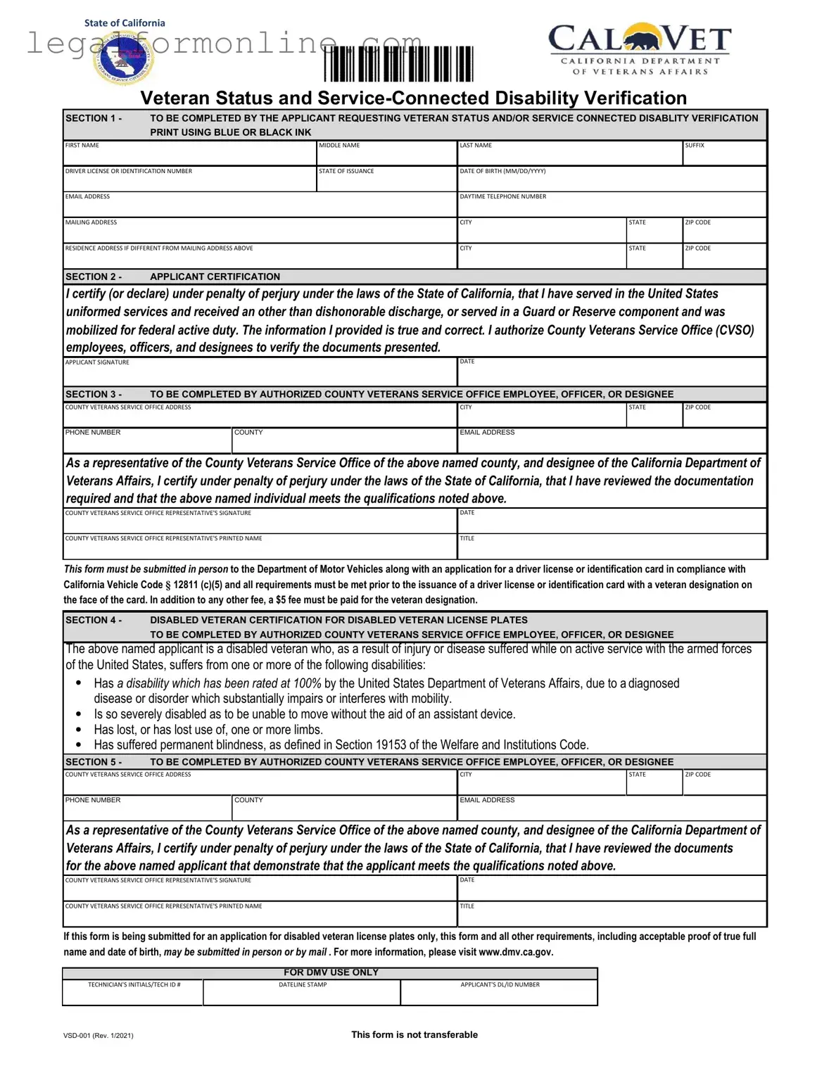 Vsd 001 Template in PDF